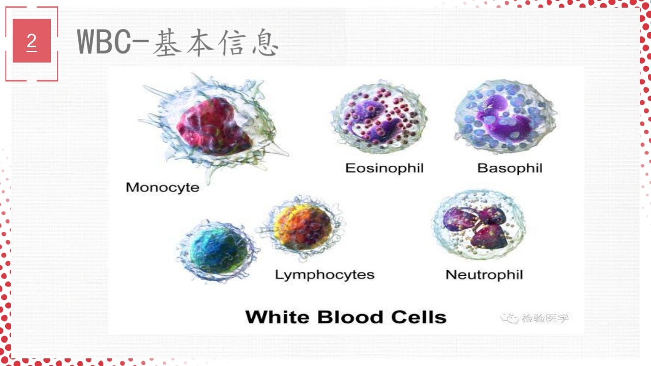 血常规·血红蛋白PPT课件29