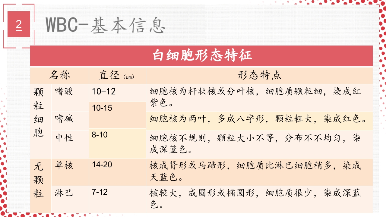 血常规·血红蛋白PPT课件30