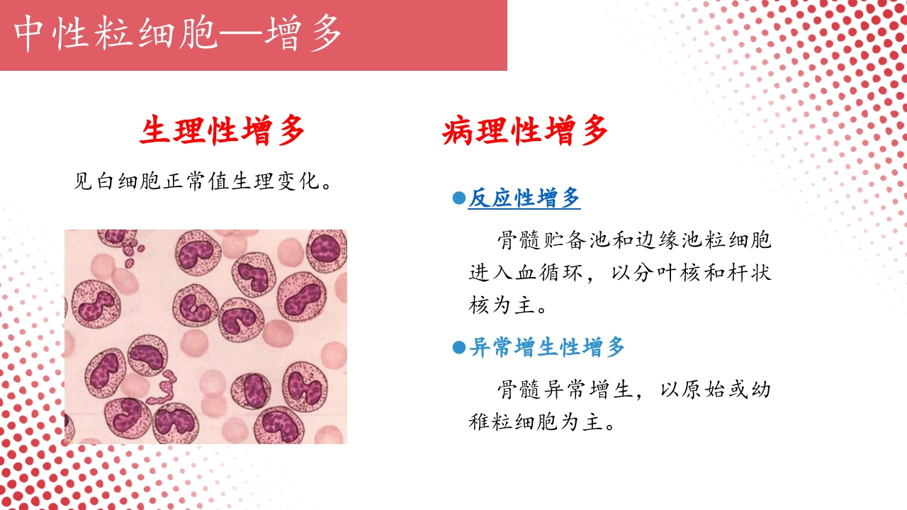 血常规·血红蛋白PPT课件37