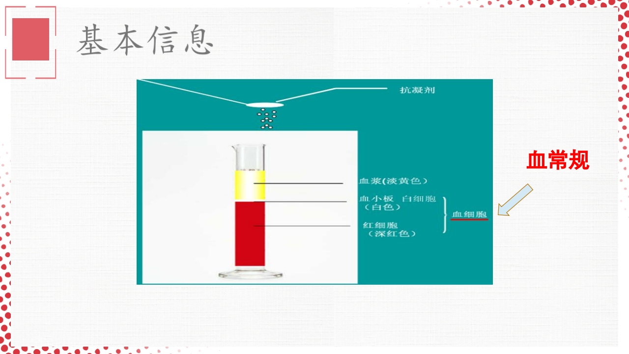 血常规·血红蛋白PPT课件3