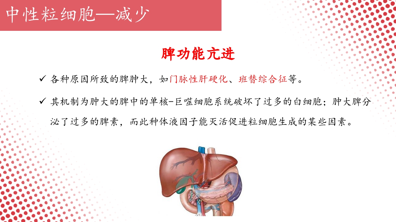 血常规·血红蛋白PPT课件45