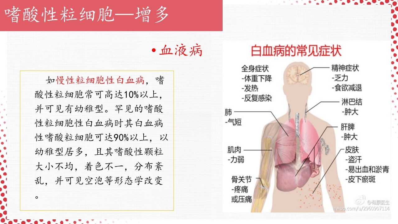 血常规·血红蛋白PPT课件47