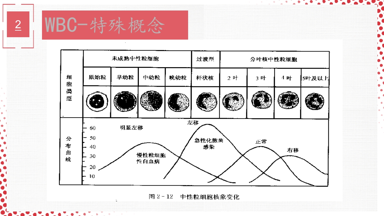 血常规·血红蛋白PPT课件57