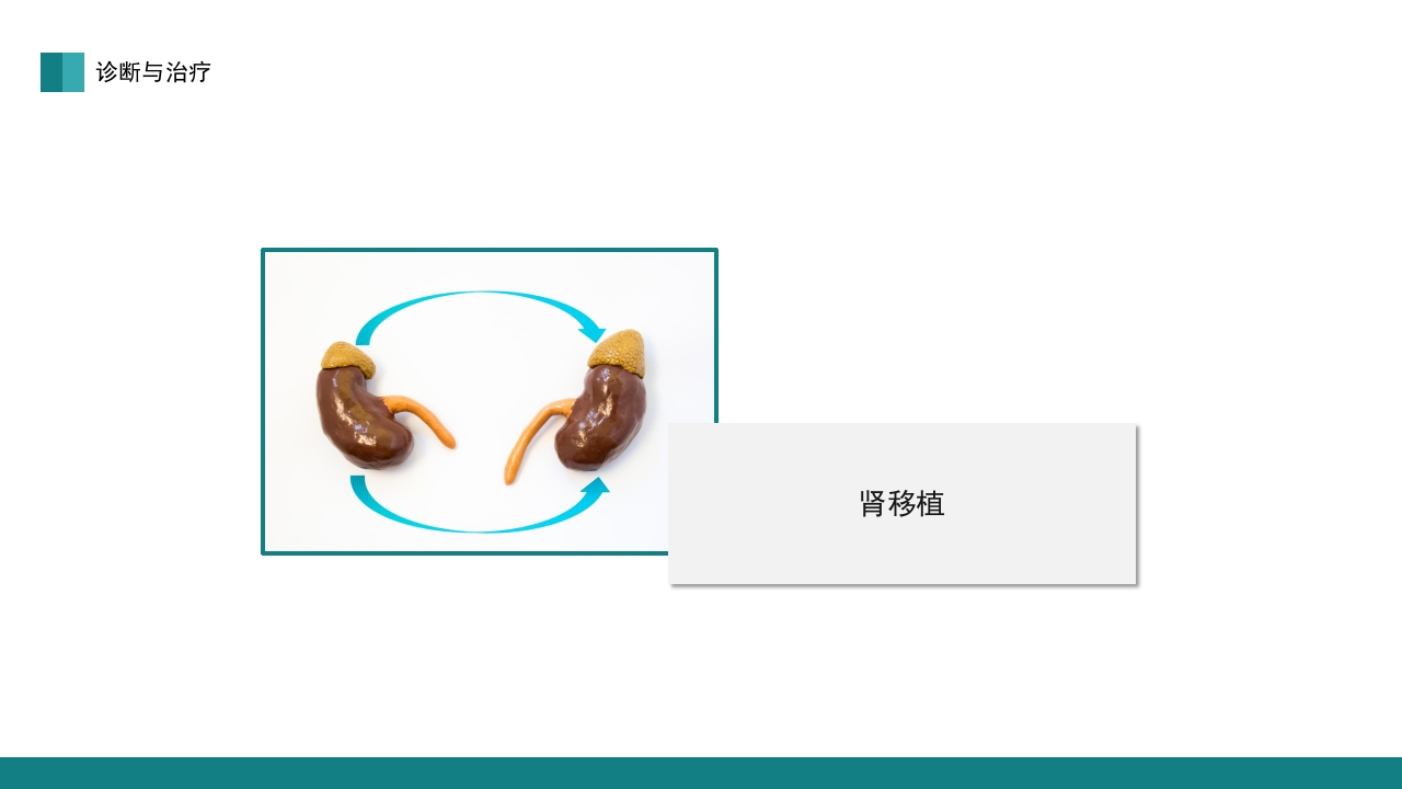 肾脏护理查房PPT课件20