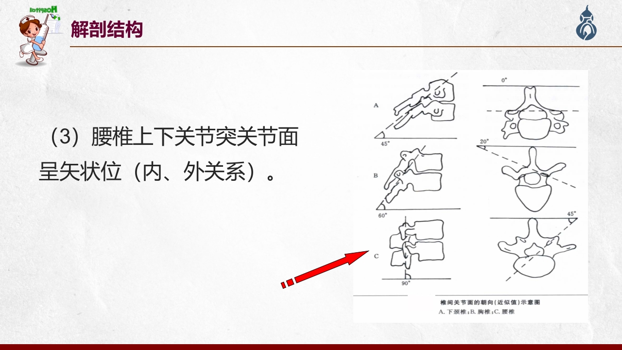 腰椎间盘突出患者护理查房PPT课件10