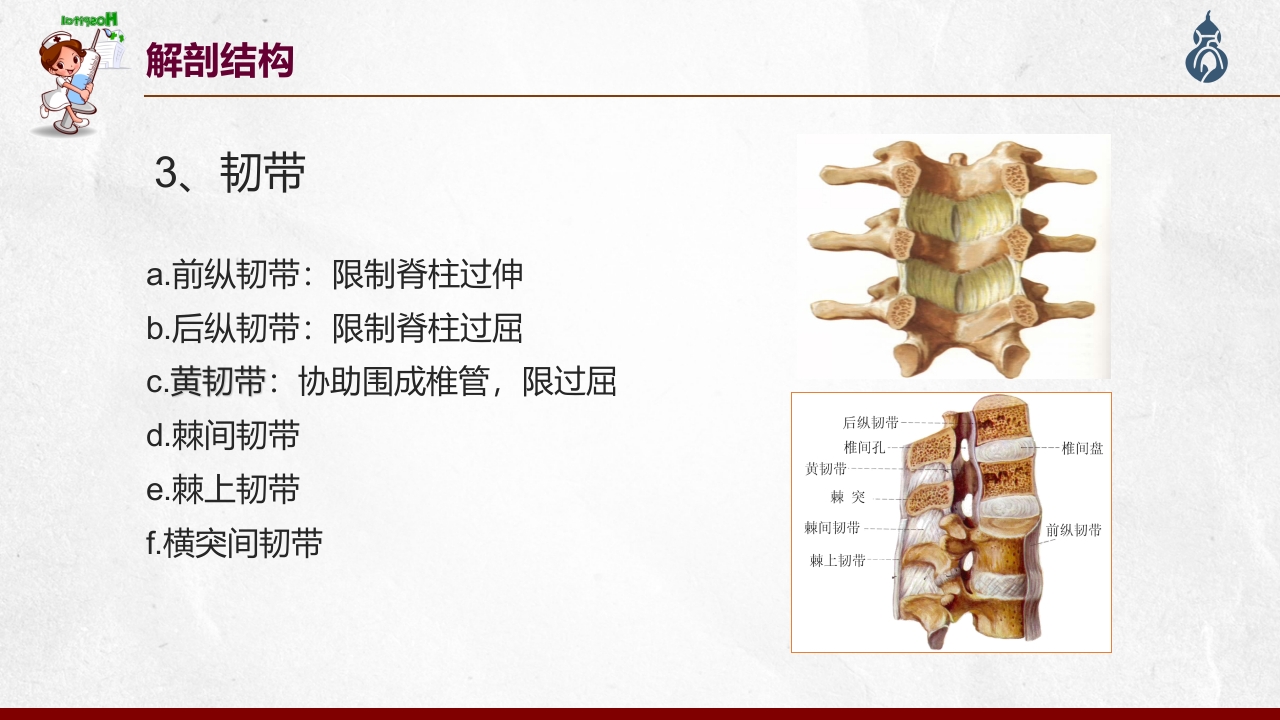 腰椎间盘突出患者护理查房PPT课件12
