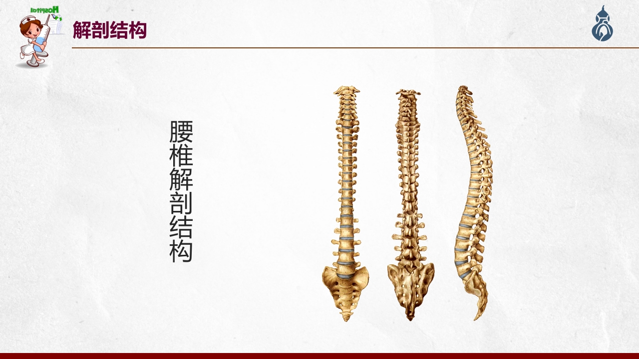 腰椎间盘突出患者护理查房PPT课件8