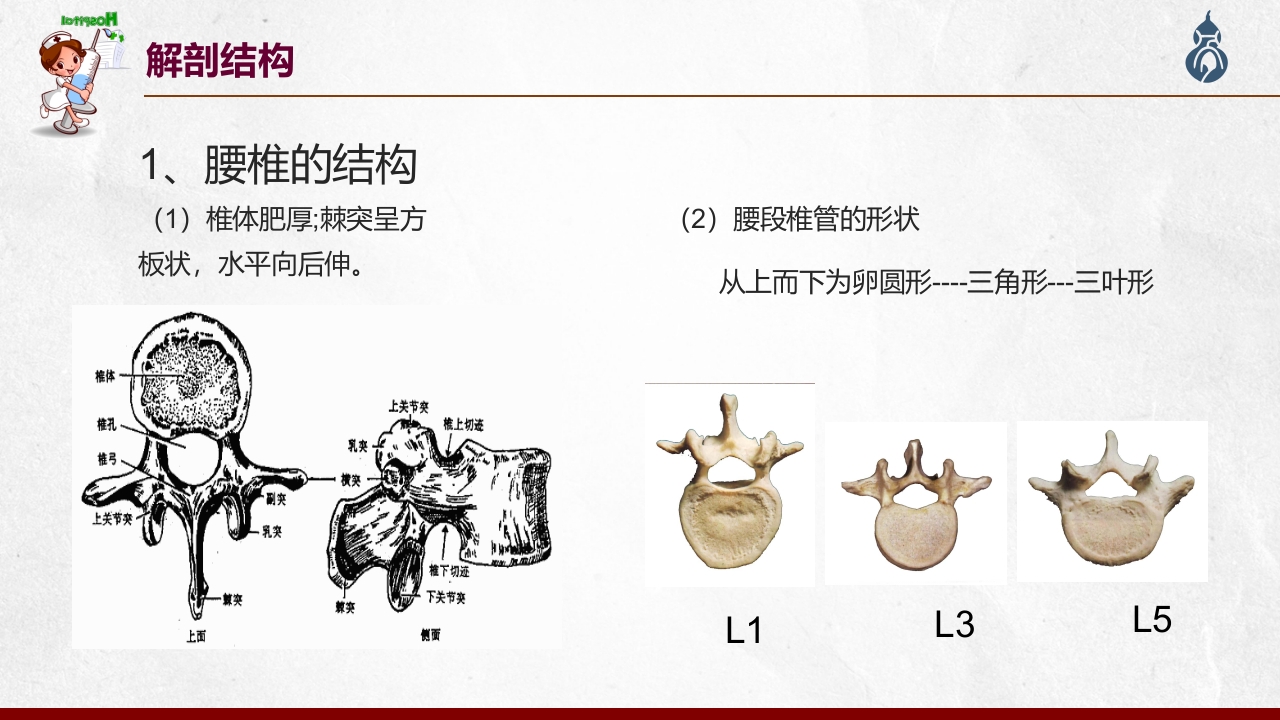 腰椎间盘突出患者护理查房PPT课件9