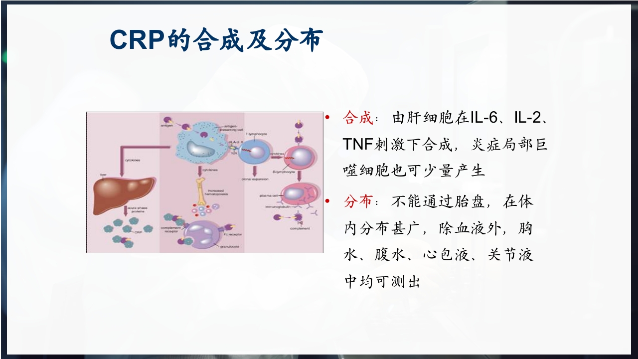 血常规和C反应蛋白检测的临床意义PPT课件3