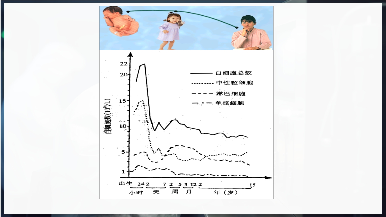 血常规和C反应蛋白检测的临床意义PPT课件59