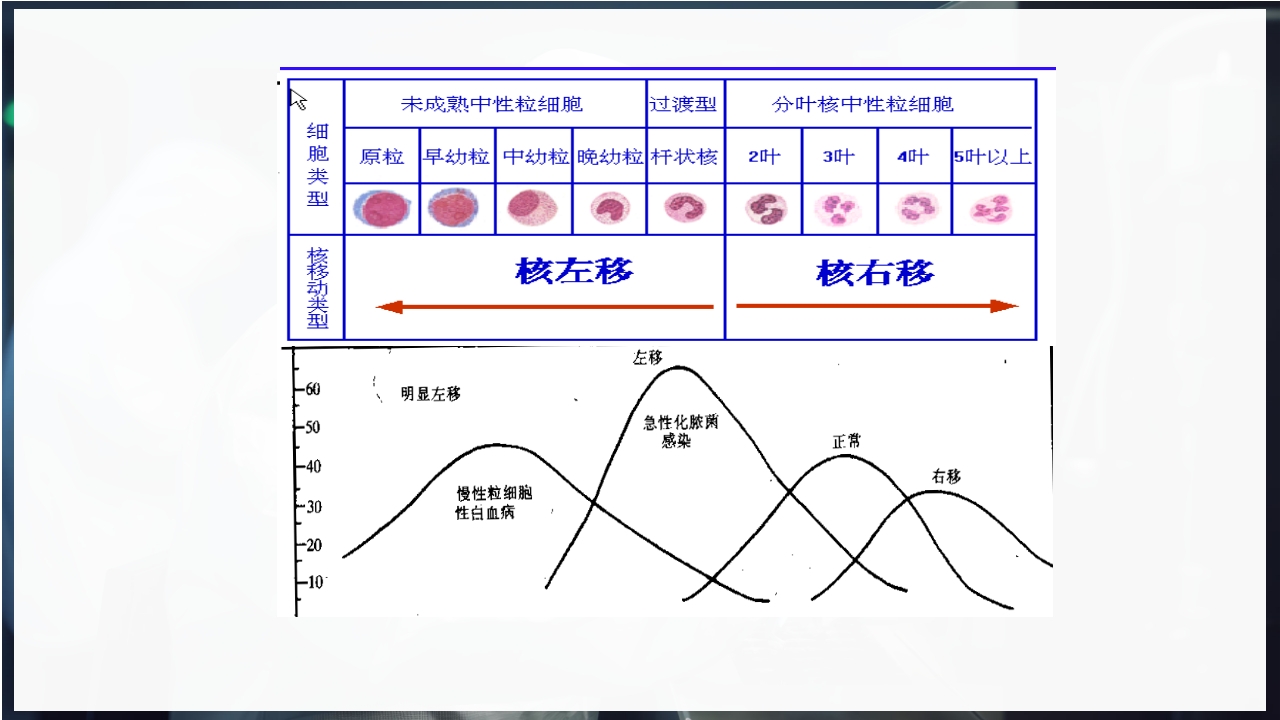 血常规和C反应蛋白检测的临床意义PPT课件66