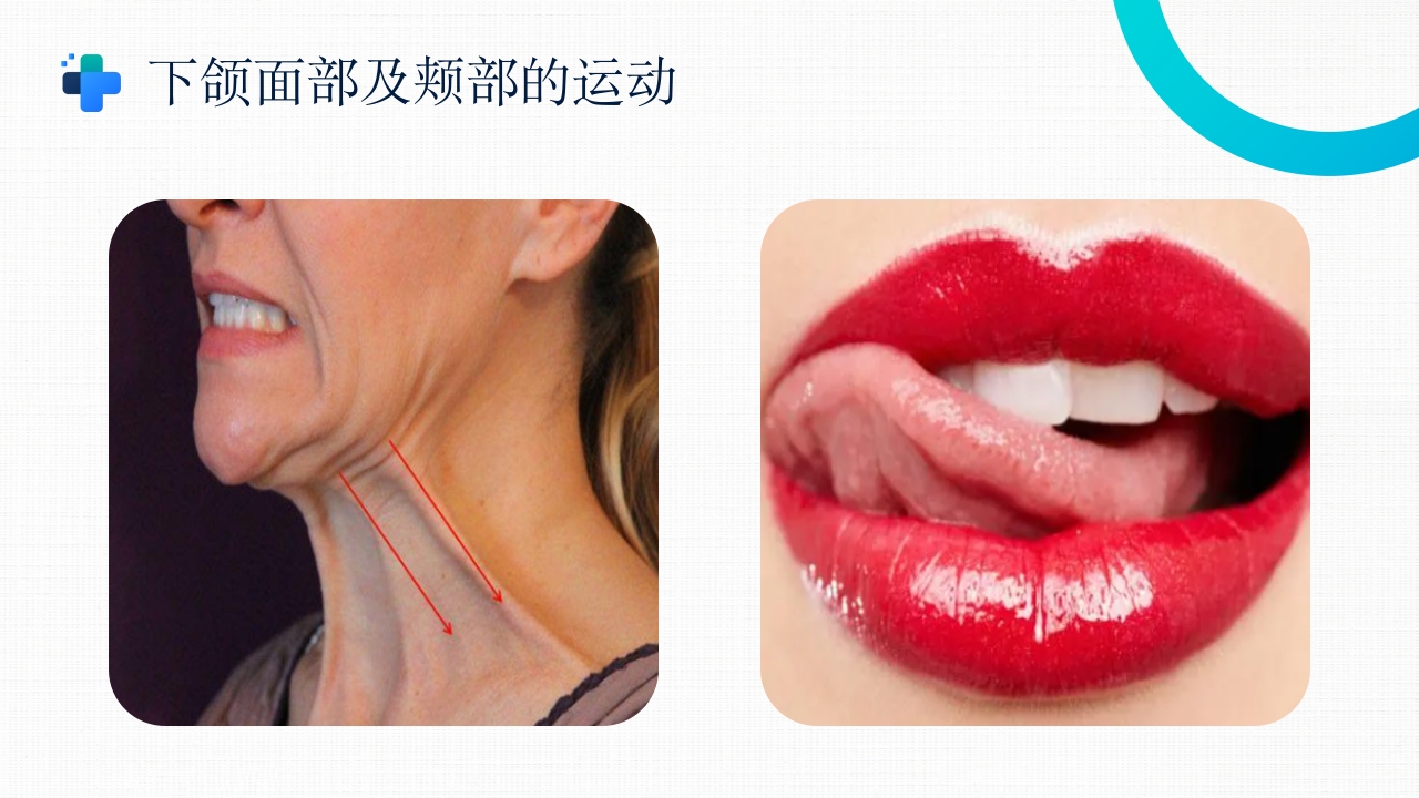 吞咽障碍的康复护理PPT课件13