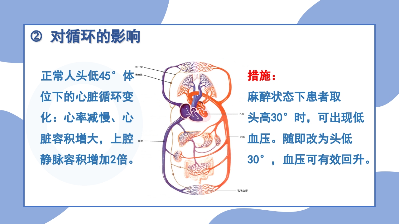 手术体位安置原则PPT课件16