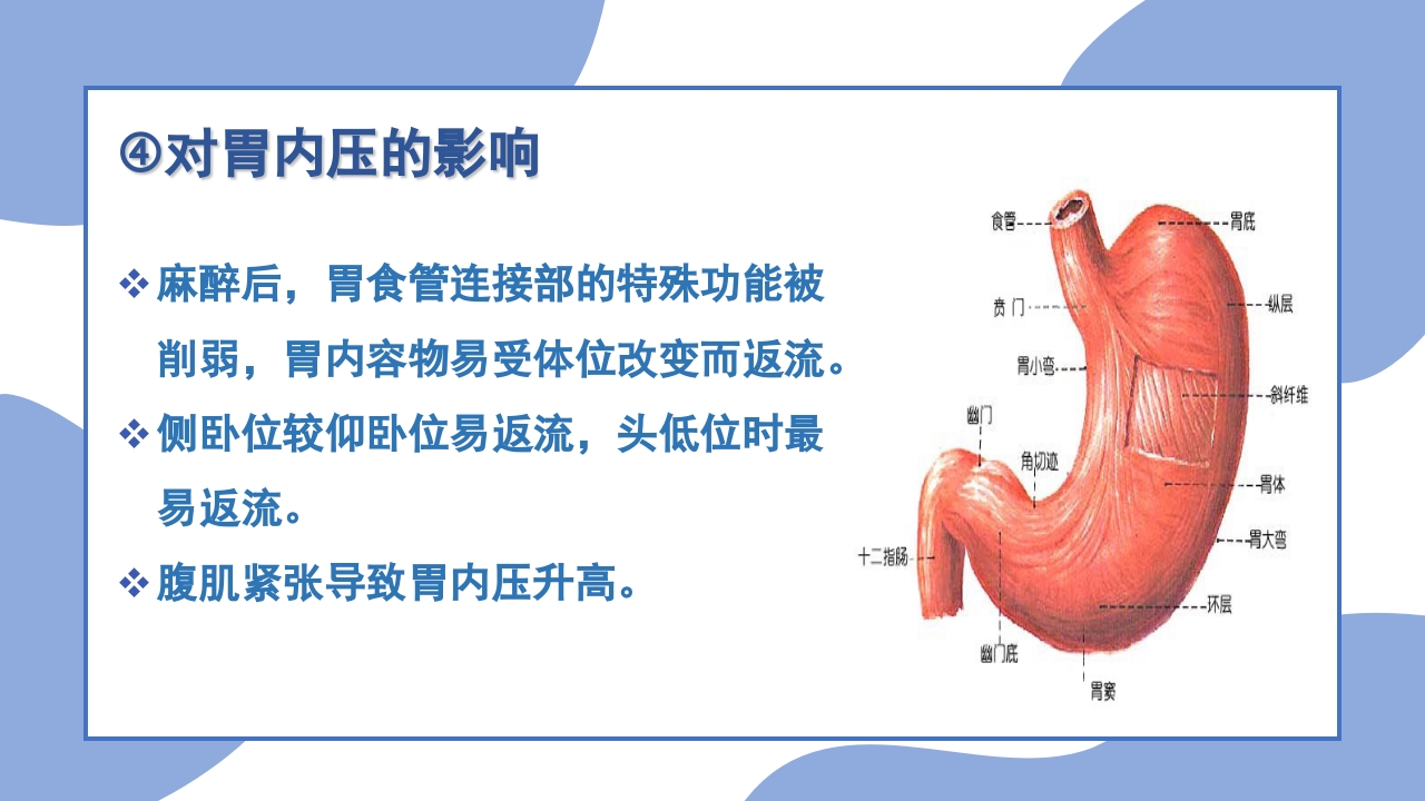 手术体位安置原则PPT课件18