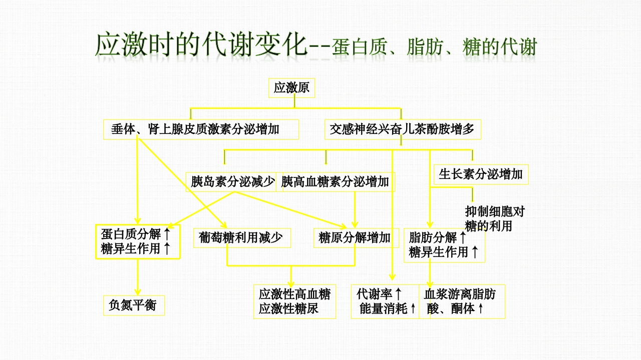 转化糖电解质注射液ppt课件11