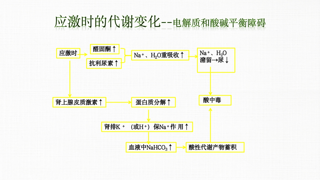 转化糖电解质注射液ppt课件12