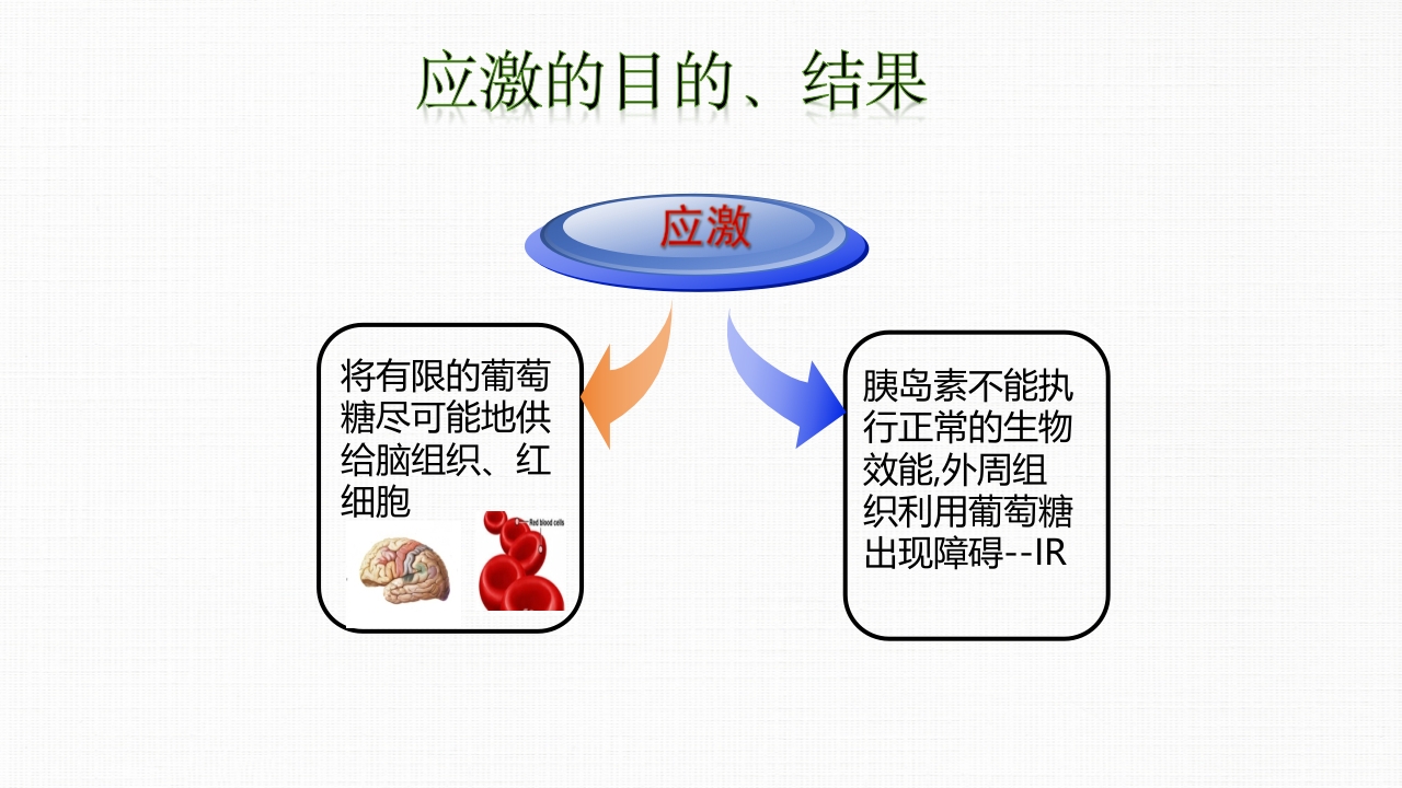 转化糖电解质注射液ppt课件15