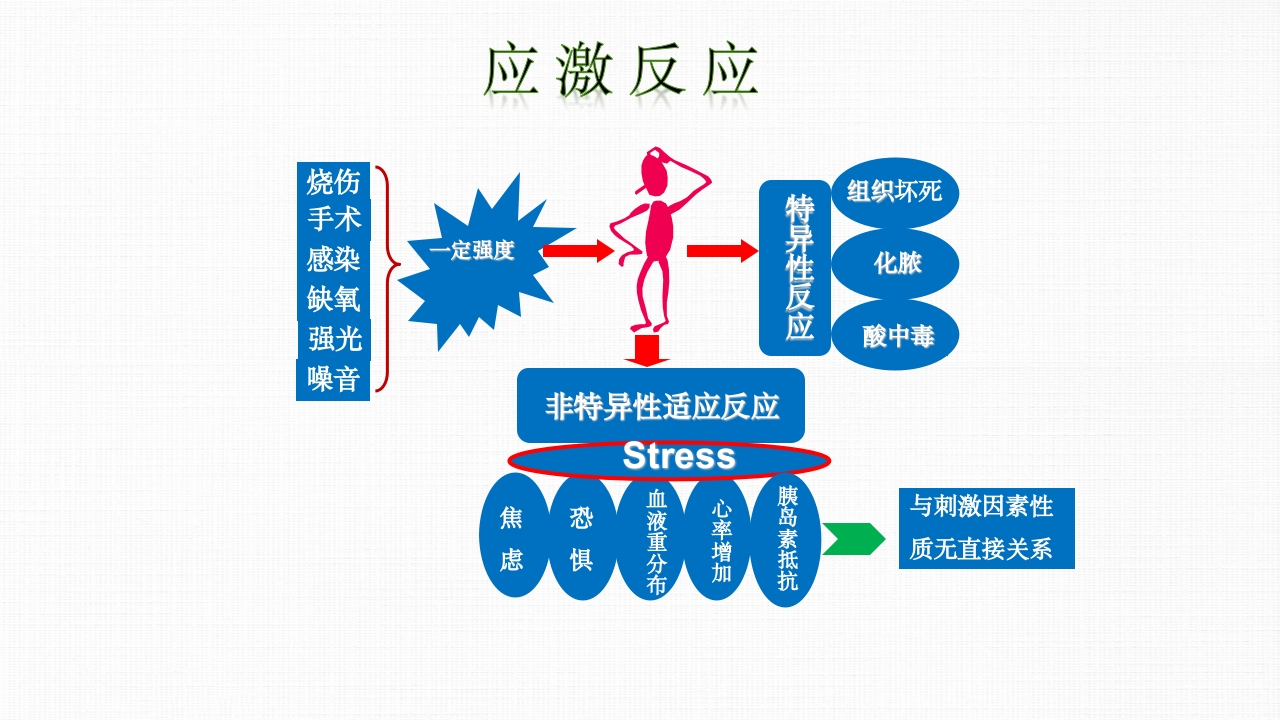 转化糖电解质注射液ppt课件5