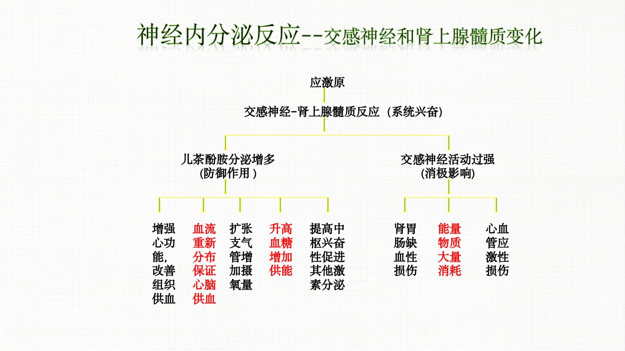 转化糖电解质注射液ppt课件8