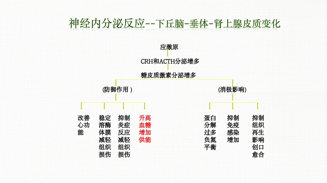 转化糖电解质注射液ppt课件9
