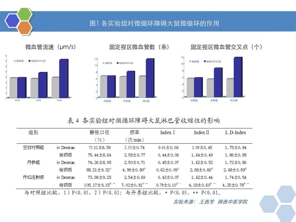 丹红注射液PPT课件12