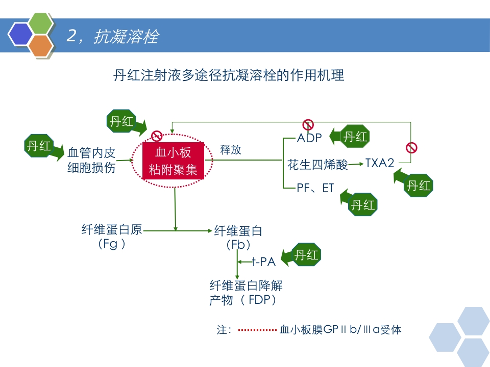 丹红注射液PPT课件13