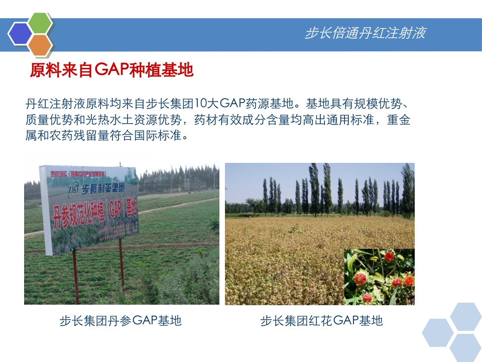 丹红注射液PPT课件32