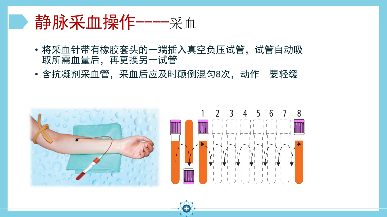 静脉采血操作PPT课件15