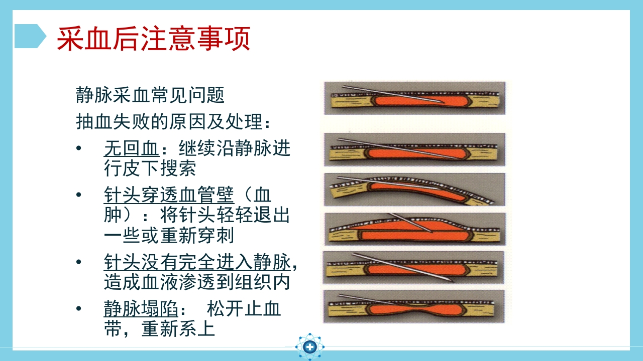 静脉采血操作PPT课件21
