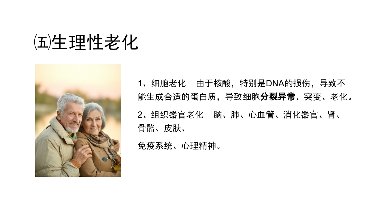 老年病科老年医学概论PPT课件12