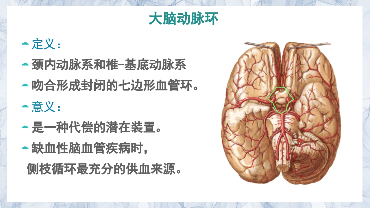 颅内动脉瘤的疾病查房PPT课件7