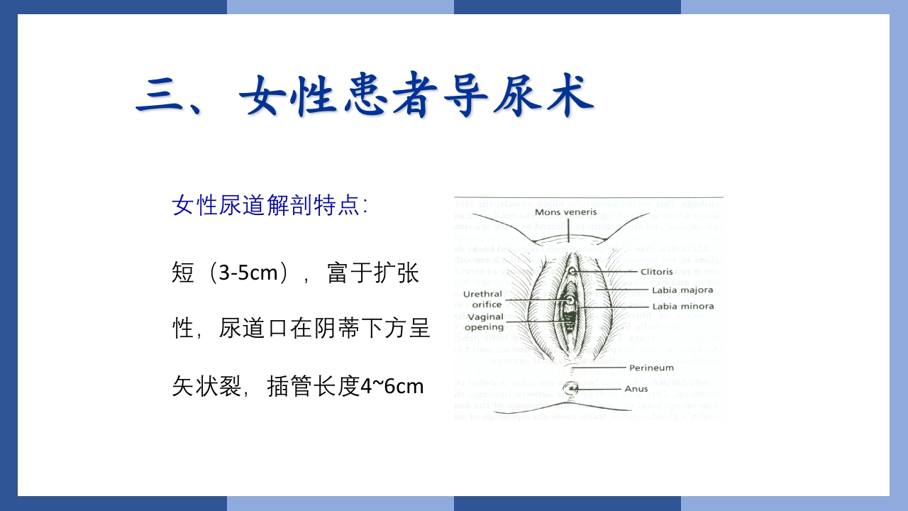 鼻饲、灌肠、导尿术PPT课件45
