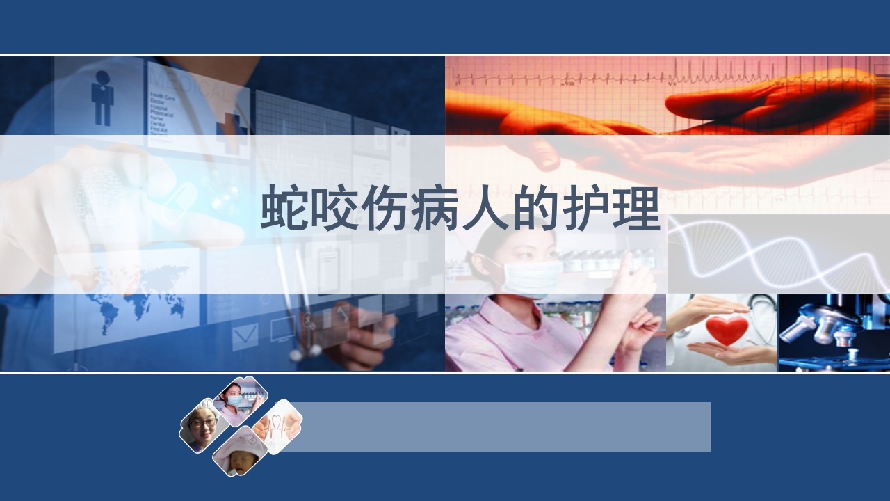 蛇咬伤患者护理PPT课件1