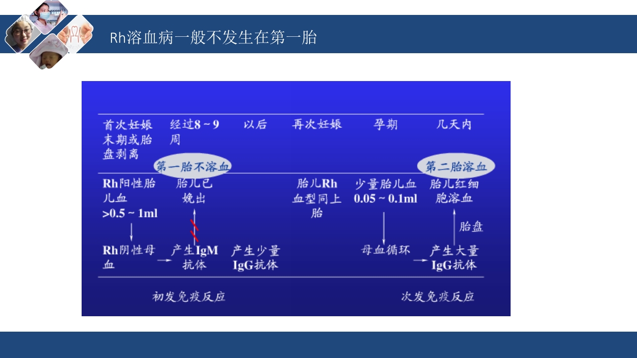 新生儿溶血护理查房ppt课件11