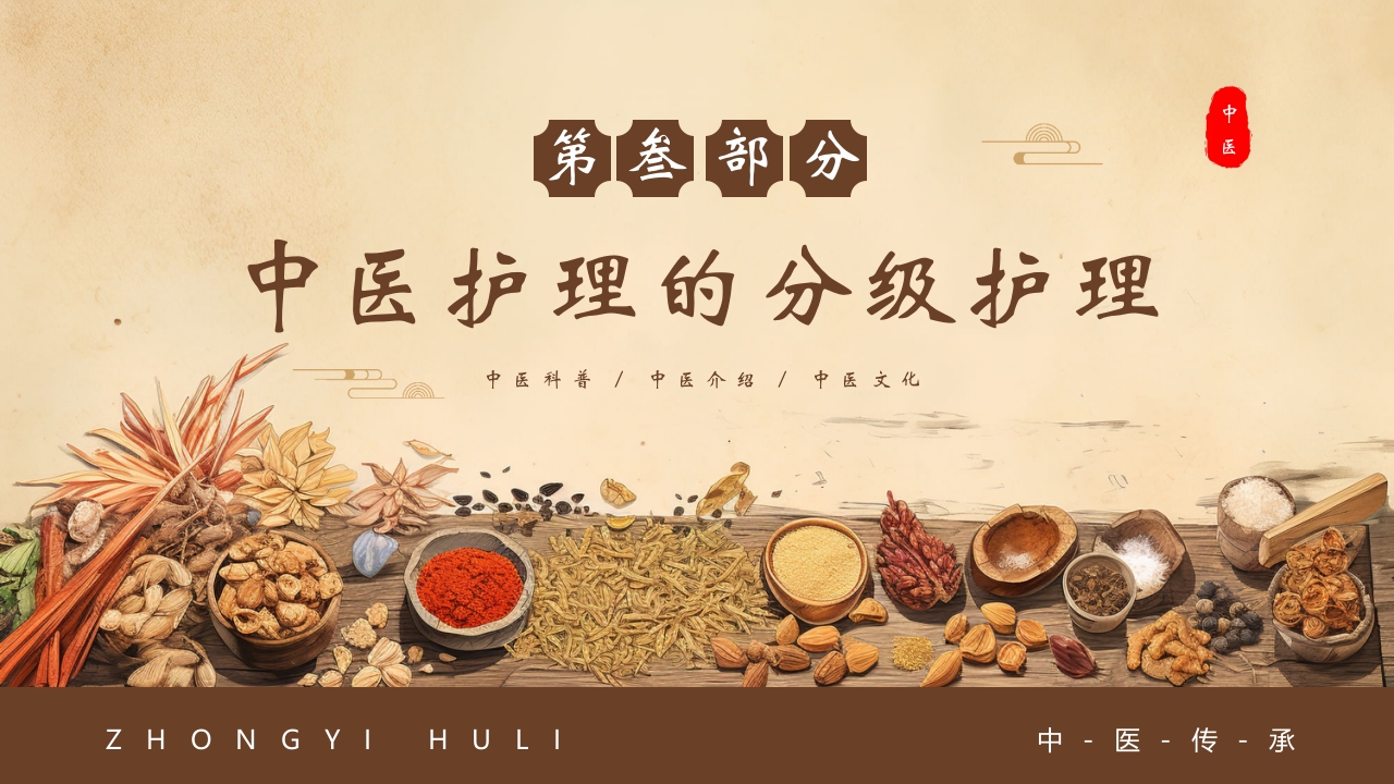 中医护理PPT课件20