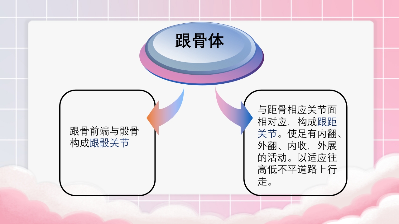 跟骨骨折个案护理PPT课件12
