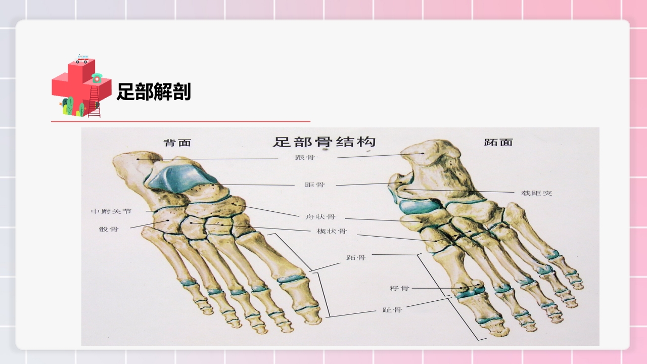 跟骨骨折个案护理PPT课件8