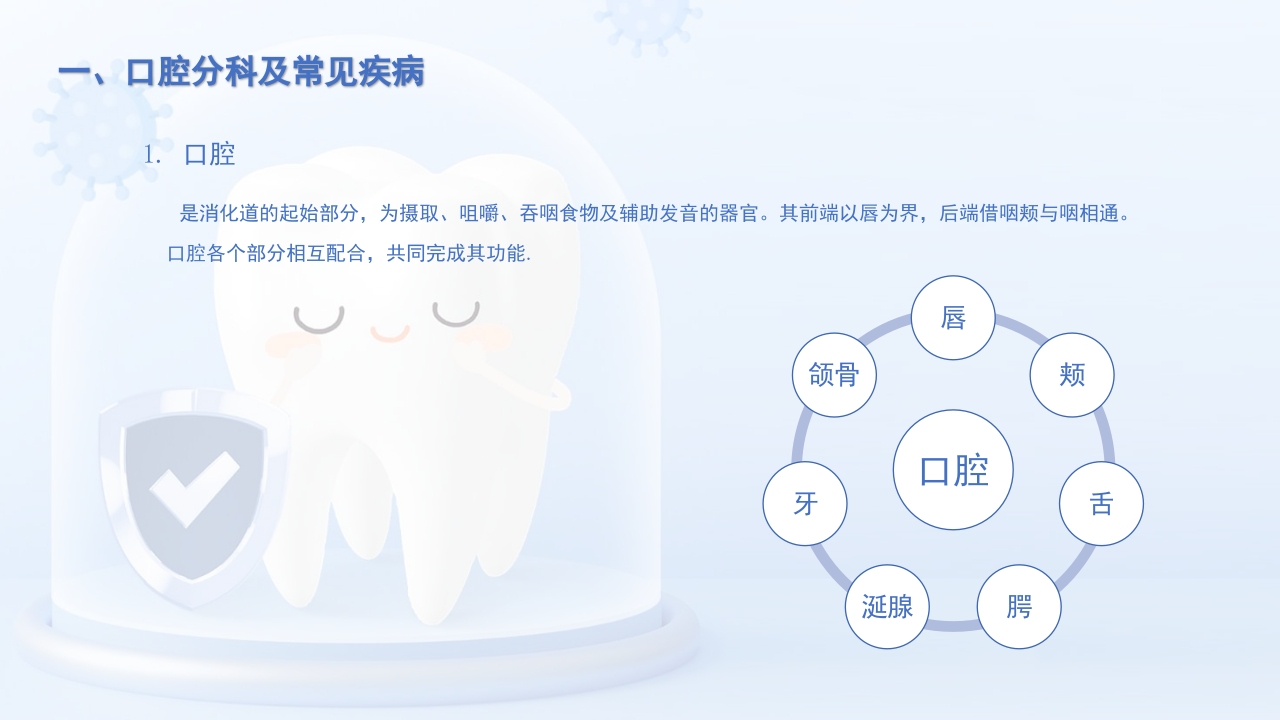 口腔分科及口腔常见疾病PPT课件4