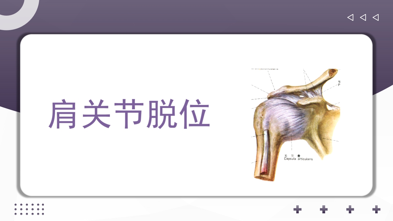 上肢骨关节损伤PPT课件13