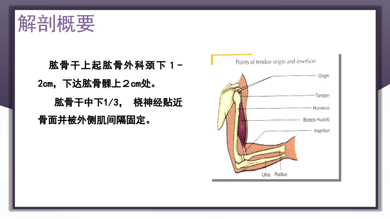 上肢骨关节损伤PPT课件23