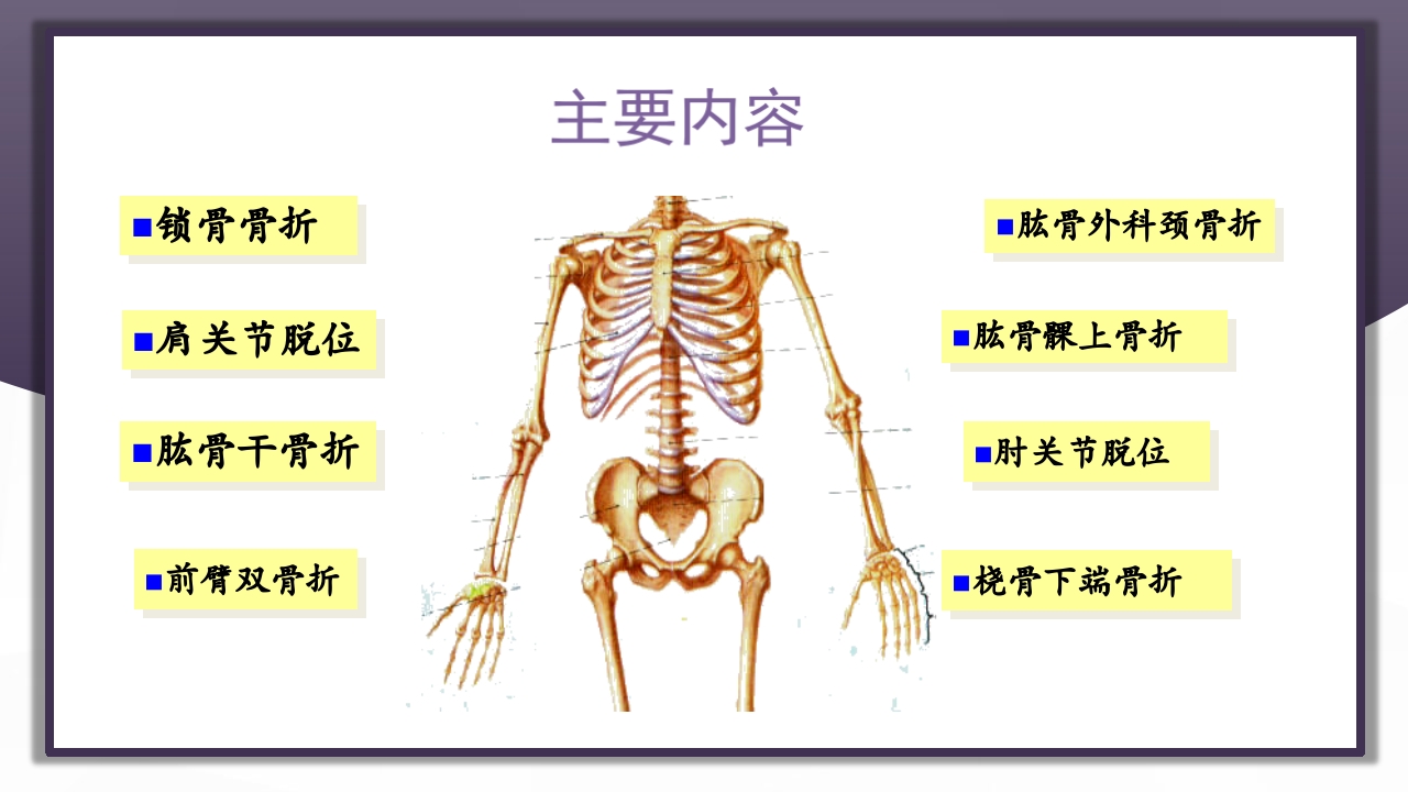 上肢骨关节损伤PPT课件2