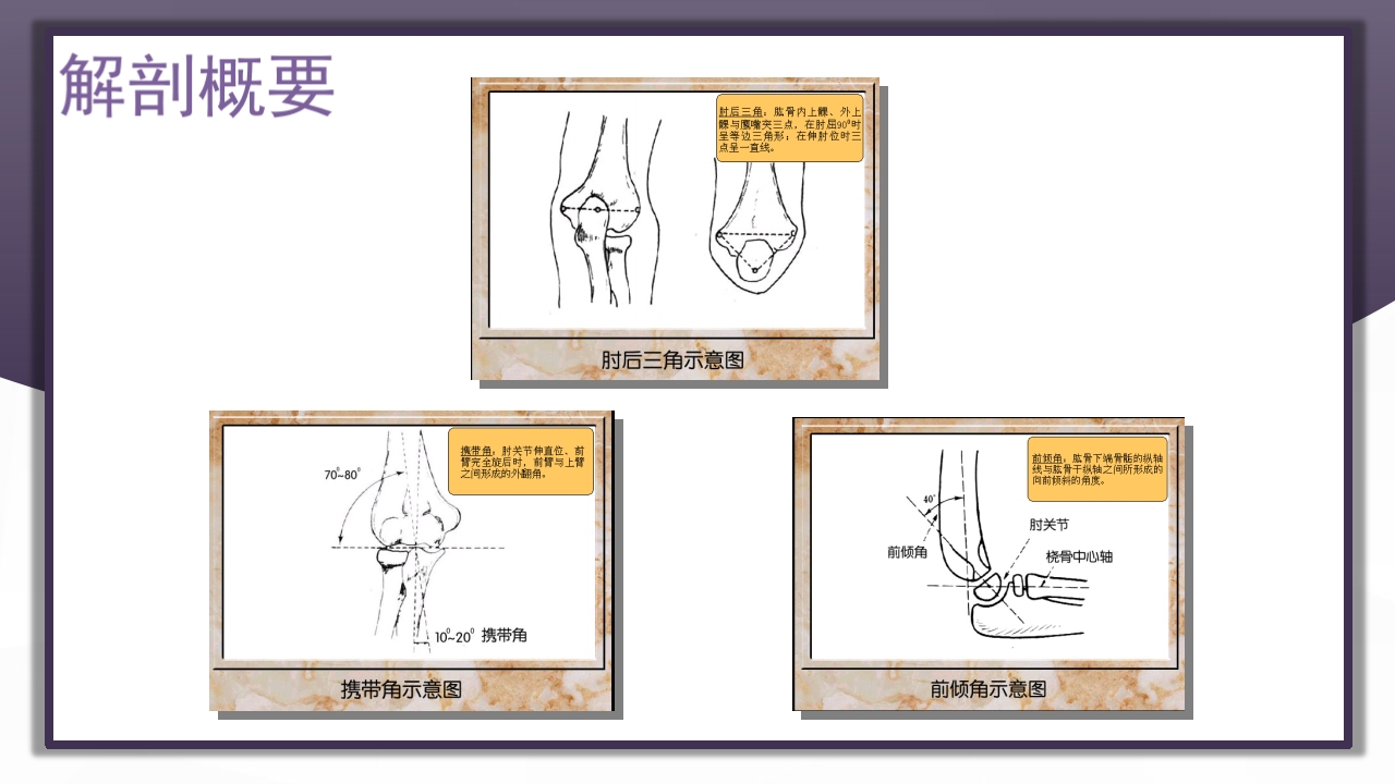 上肢骨关节损伤PPT课件48