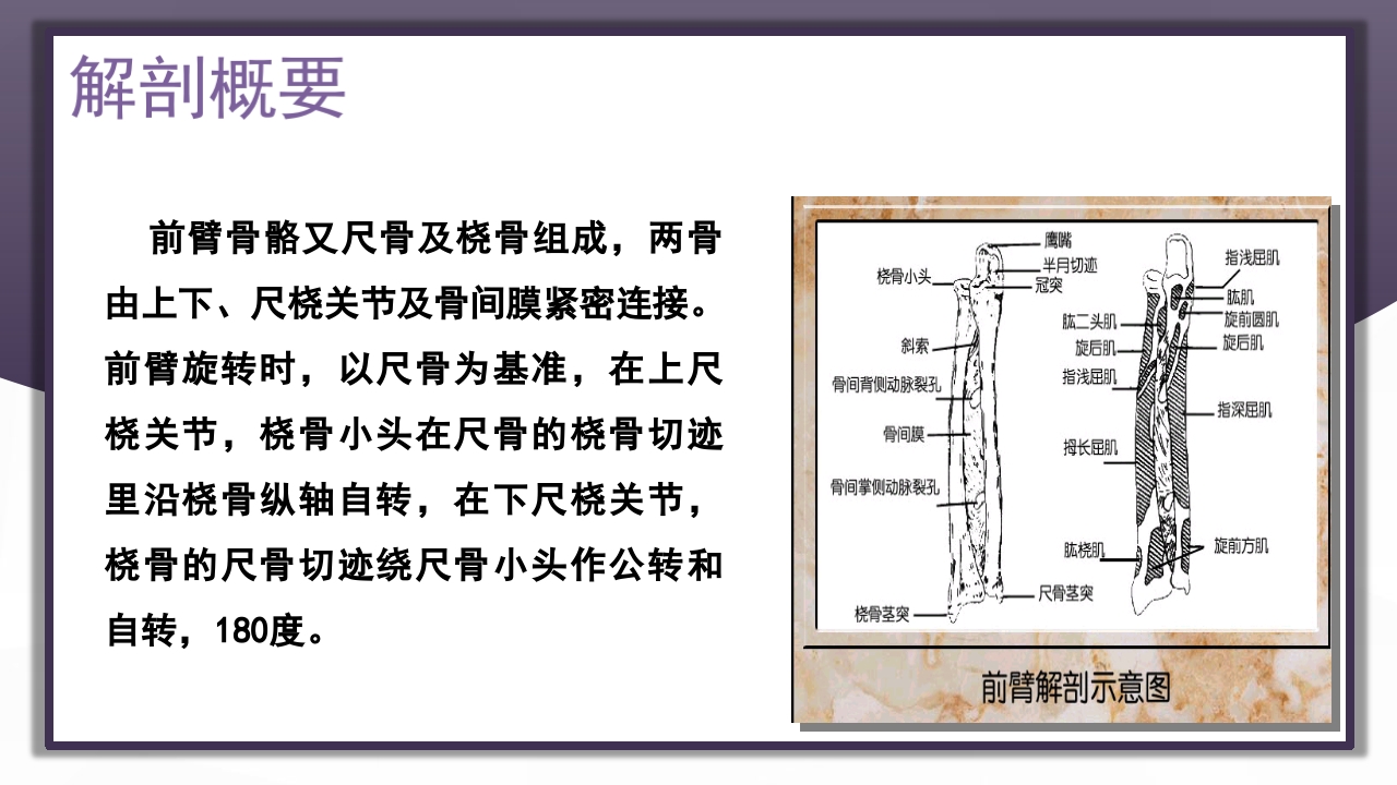 上肢骨关节损伤PPT课件64