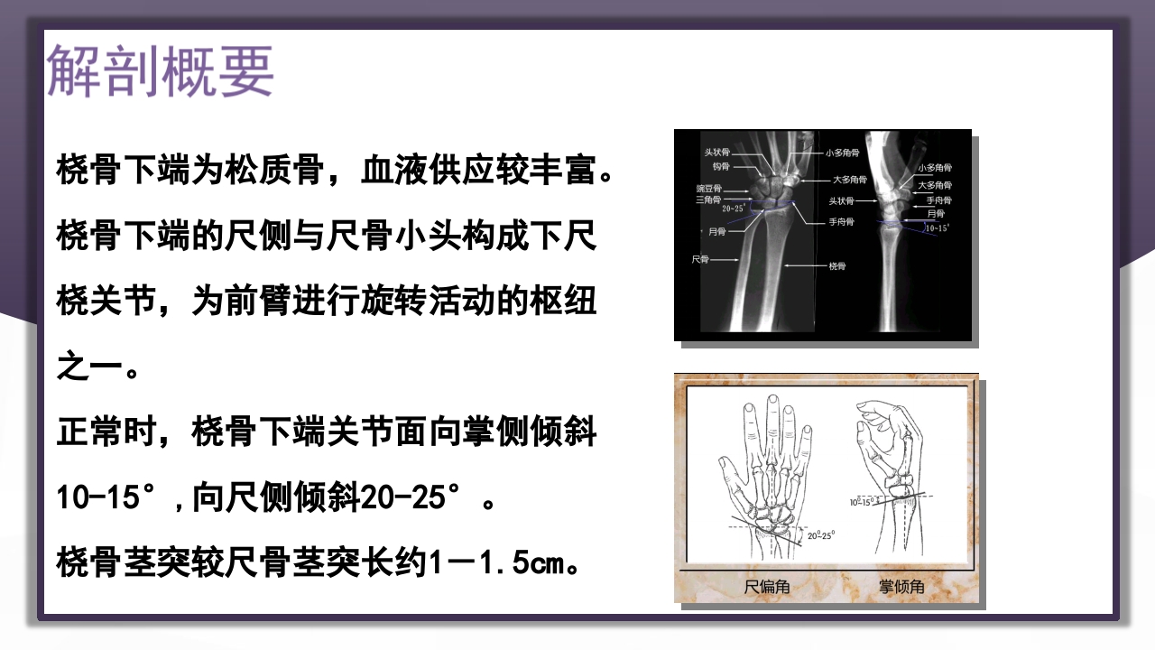 上肢骨关节损伤PPT课件69
