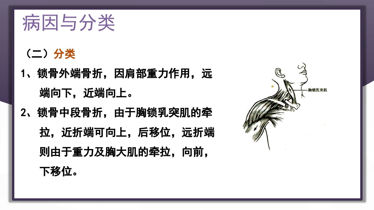 上肢骨关节损伤PPT课件6