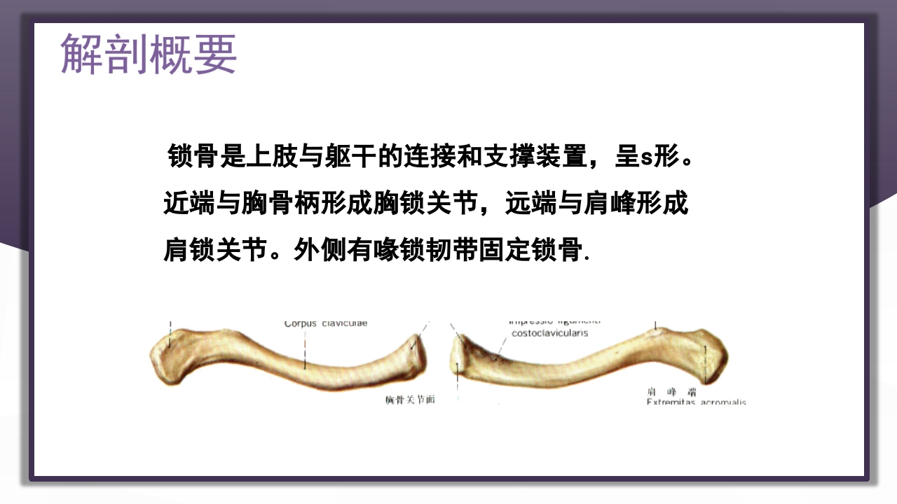 上肢骨关节损伤PPT课件9