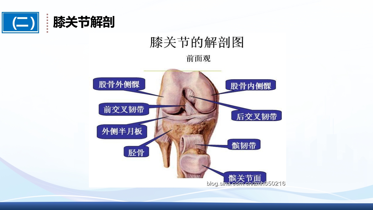 全膝关节置换术围手术期护理ppt课件6