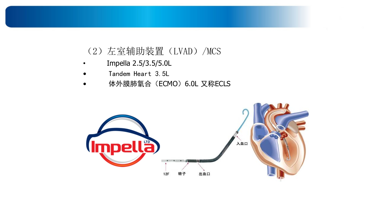 心源性休克诊治思路与进展ppt课件27