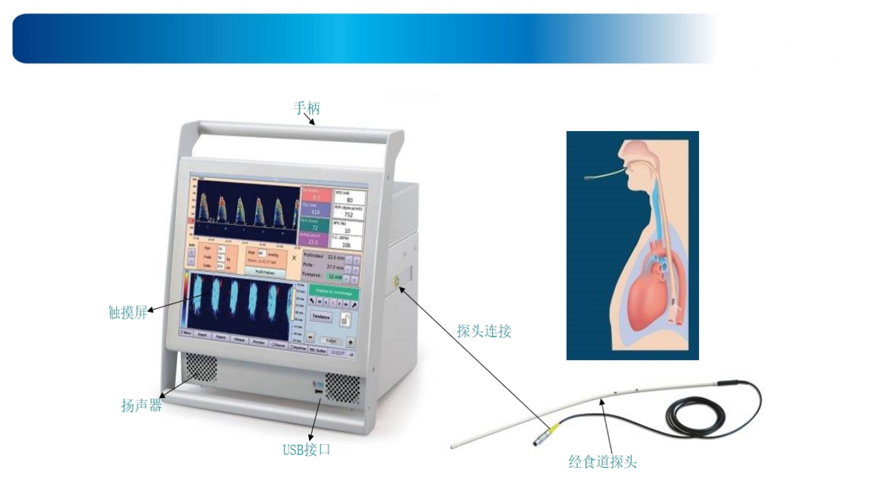 心源性休克诊治思路与进展ppt课件37