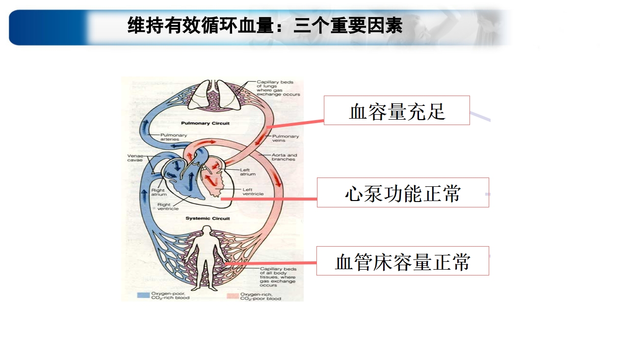 心源性休克诊治思路与进展ppt课件3